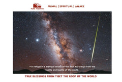 True Blessings from Tibet