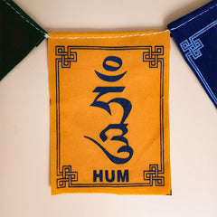 Prayer Flags From Mount Kailash Bring Energy Protection & Luck To Your Home