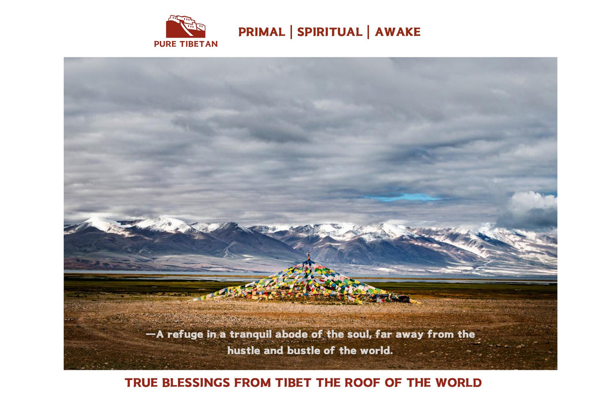 True Blessings from Tibet