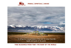 True Blessings from Tibet