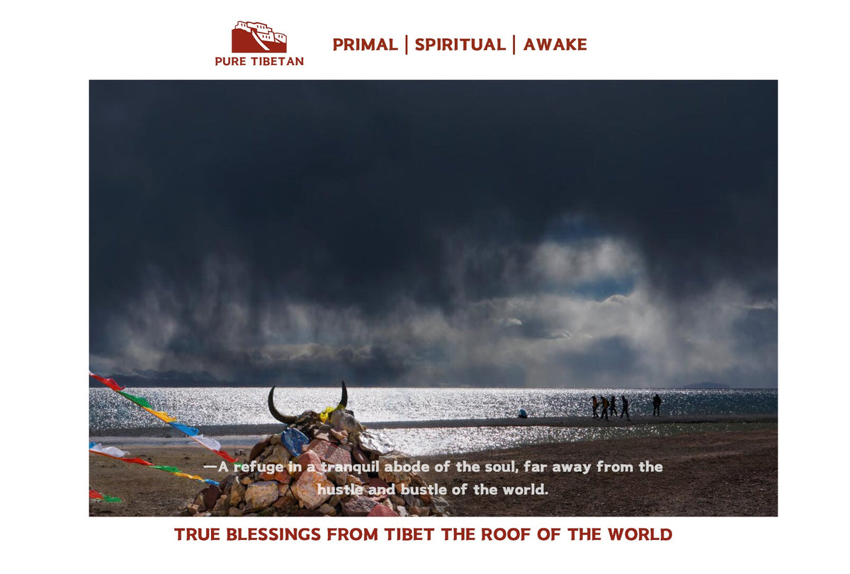 True Blessings from Tibet