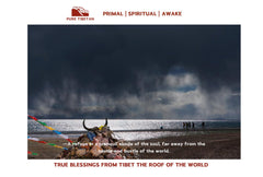 True Blessings from Tibet