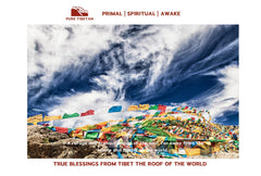 True Blessings from Tibet